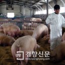모래틈농장 이미지