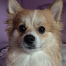 두산로9길 이미지