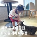 테이블39 | 테이블에이 파주 실내 동물원 내돈내산 이용 후기