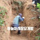 뿌리장묘개발