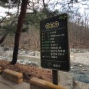 용연로 이미지