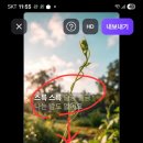 [캡션라이트(Captions Lite)] 동영상에 자동자막 넣고 이미지 추가하기 이미지