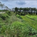 달창농장 이미지