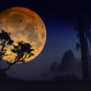 달이 떴다고 전화를 주시다니요 이미지