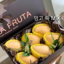라푸르따 이미지