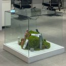 세븐일레븐 대구신매스타점 | 클리닉+컷 받은 솔직 후기 ! | 경산 미용실 “프리미엄이가자 스타필드마켓 경산점”