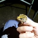 불곡산장 이미지