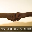 (주)하나특송