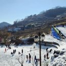 더무아 이미지