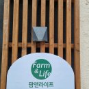 팜앤라이프 이미지