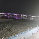 송도장어 이미지