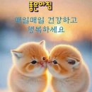 루모스 이미지