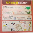 2019 서울 HMR 쿠킹 &amp; 푸드 페어 방문기