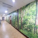 소나무헬스클럽 이미지