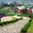민충사 티스토리