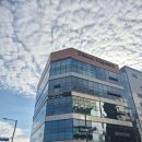 하양지구 8 | 경산 하양헬스장 &#39;엘핏 PT 하양무학지구점&#39; 경산 자세교정 햄스트링스트레칭 후기