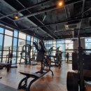 피트니스247 이미지