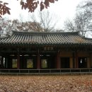 자인계정숲 이미지