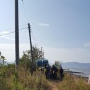 크린데이 이미지