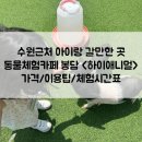 애니멀케어 | 수원근처 아이랑 갈만한 곳 동물체험카페 봉담 하이애니멀 가격 이용팁 체험시간표