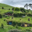 샤이어렌트카 | 뉴질랜드 북섬 투어 완벽 가이드 | 호비튼 티켓 포함 택시투어 추천