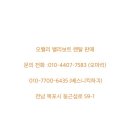 오벨리