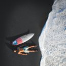 나무와 해(海) 이미지