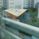 독립-16-05 이미지