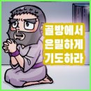 소피마리 이미지