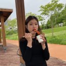 우리할매떡볶이일산 - 고양시 일산동구 숲속마을로 44 | 우리할매떡볶이 일산 주엽점에서 내돈내먹 후기