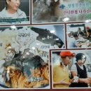 산들애식당 - 성주군 | 산들애식당