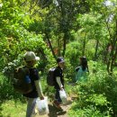 율곡초등학교 병설유치원 이미지