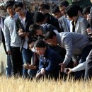 봉산1리마을회관 이미지