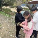 덕도초등학교 | 우리들 자연학교 10월 31일 덕도 초등학교 현장학습 후기