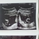 아름제일병원 이미지