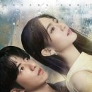 연지지 네이버블로그