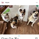 포킥스엔터테인먼트 이미지