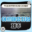 가-14 | 제주 아르떼뮤지엄 14개월 아기와 가본 생생 후기 + 주의할점까지