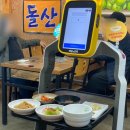 돌산아나고 이미지