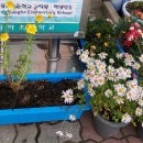 용하초등학교 이미지