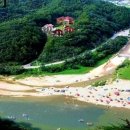 하이디코리아 이미지