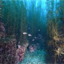 와와산업 이미지