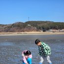 내리경로당 | 장경리해수욕장 갯벌체험 아이랑 영흥도 당일치기 코스