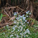 우정제방 이미지