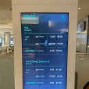 명품도고무인호텔 | 아기랑 가기좋은 수영장 파라다이스 도고+슈어스테이플러스호텔 패키지후기 ft.썬베드자리추천, 머드팩
