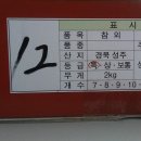 과일상자