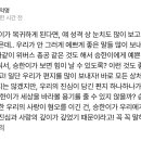 승한팬들 진짜 놀리는게 아니고 ㄹㅇ 정신병같아 이미지