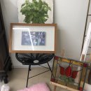 퀘렌시아 애견 이미지