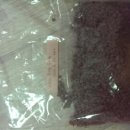 네츄럴플래닛 이미지