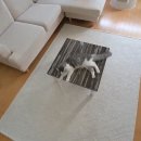 말미목장 이미지